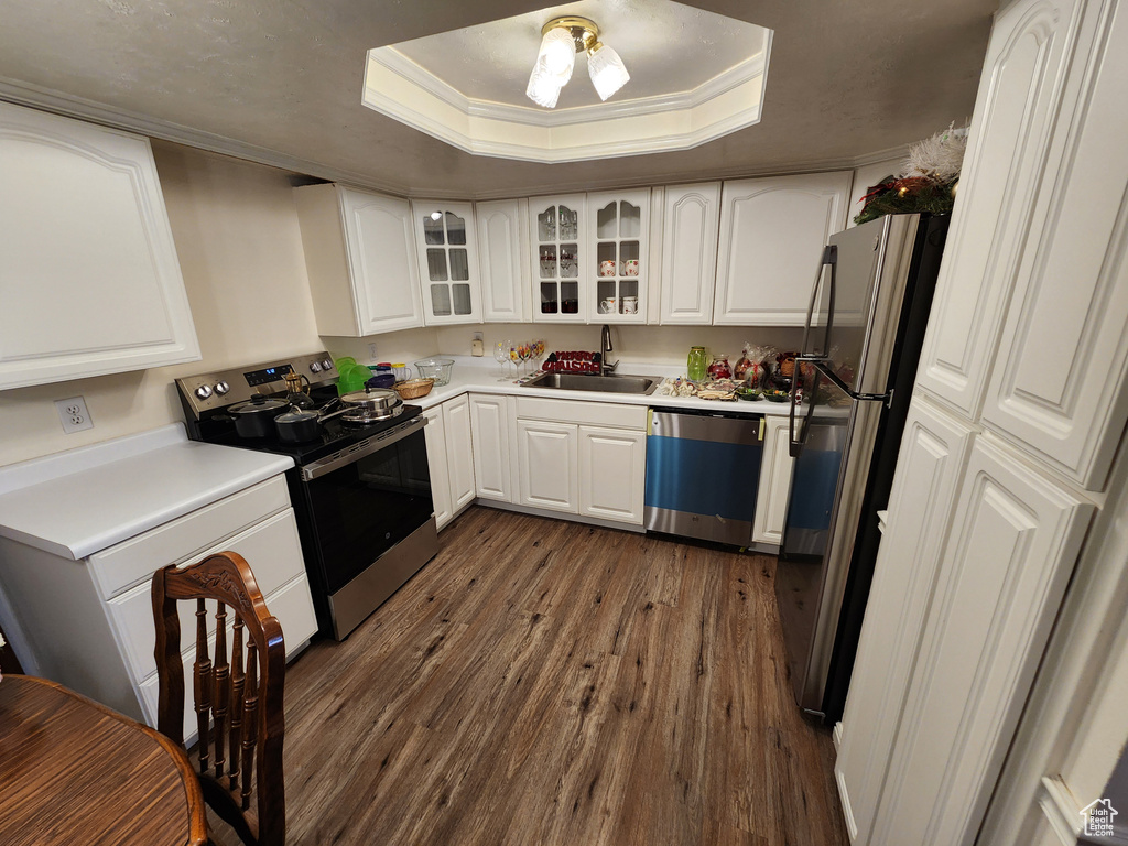 Kitchen with appliances with stainless steel finishes, dark wood-type flooring, a tray ceiling, white cabinets, and ornamental molding
