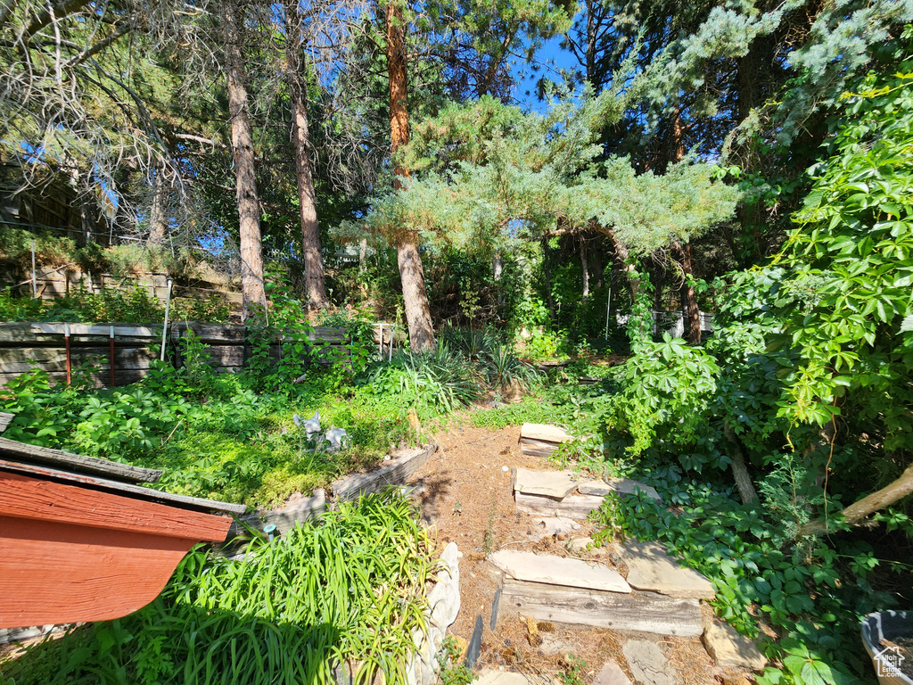 View of yard with a garden