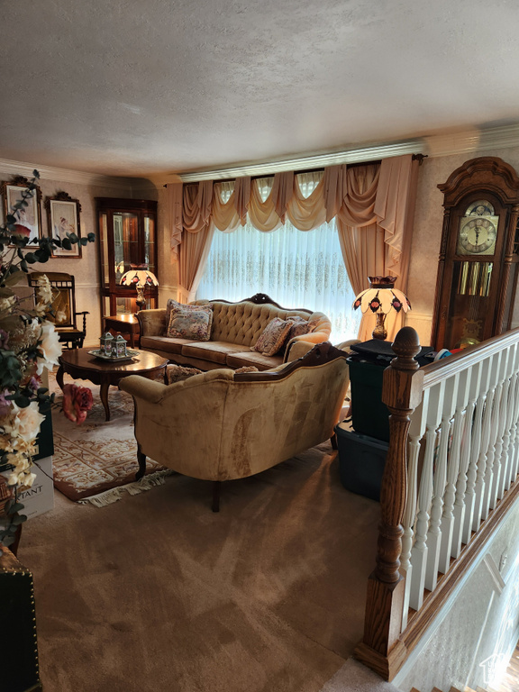 Carpeted living area featuring a textured ceiling and ornamental molding