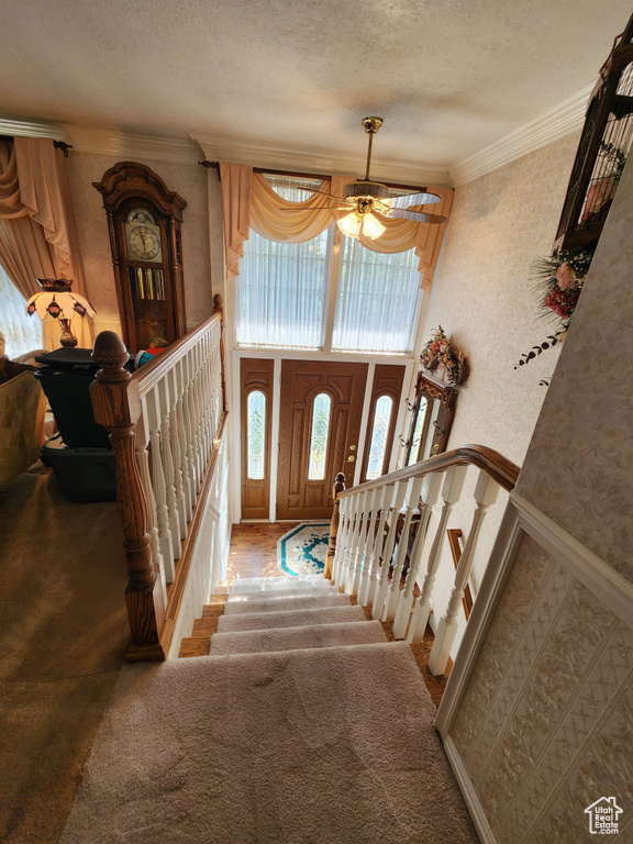 Carpeted entryway with a textured ceiling, ornamental molding, and a ceiling fan