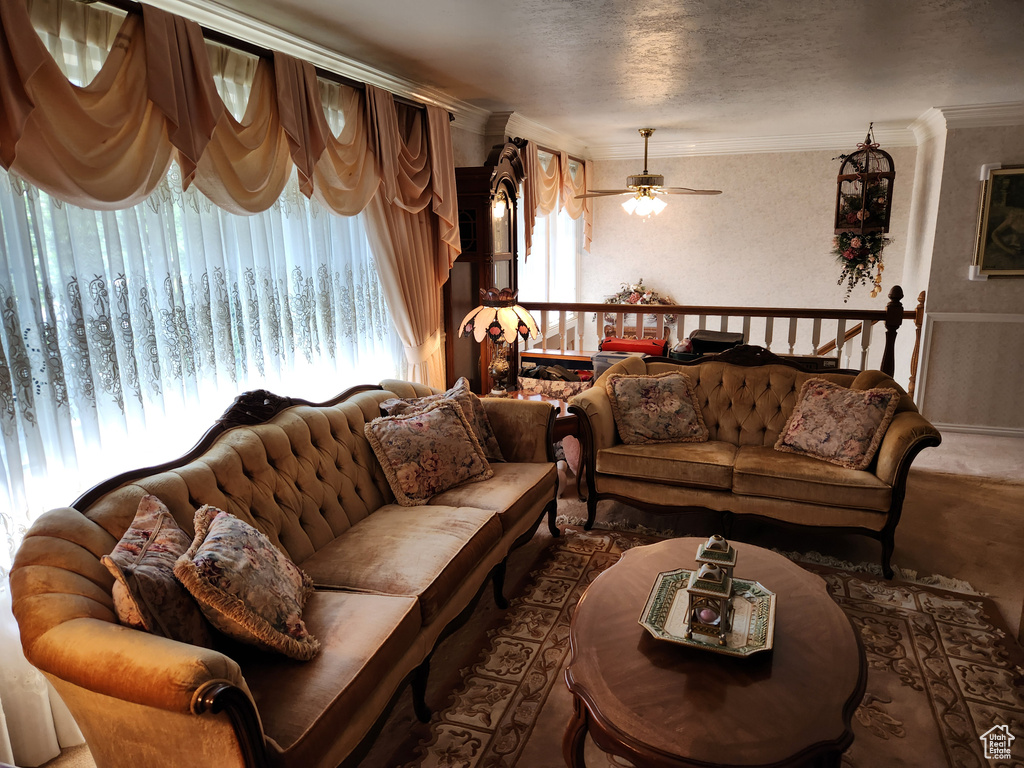Carpeted living area featuring ornamental molding and a ceiling fan