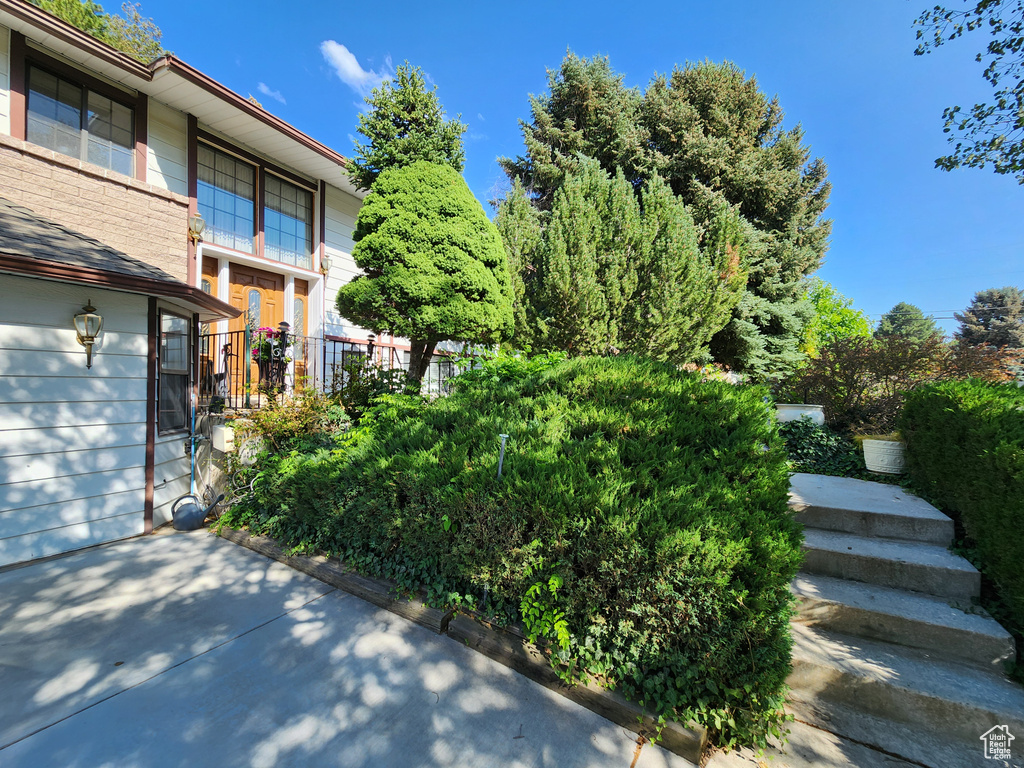 View of yard with a patio area
