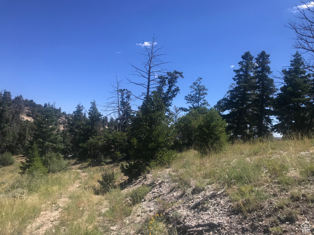  Duchesne, UT 84021