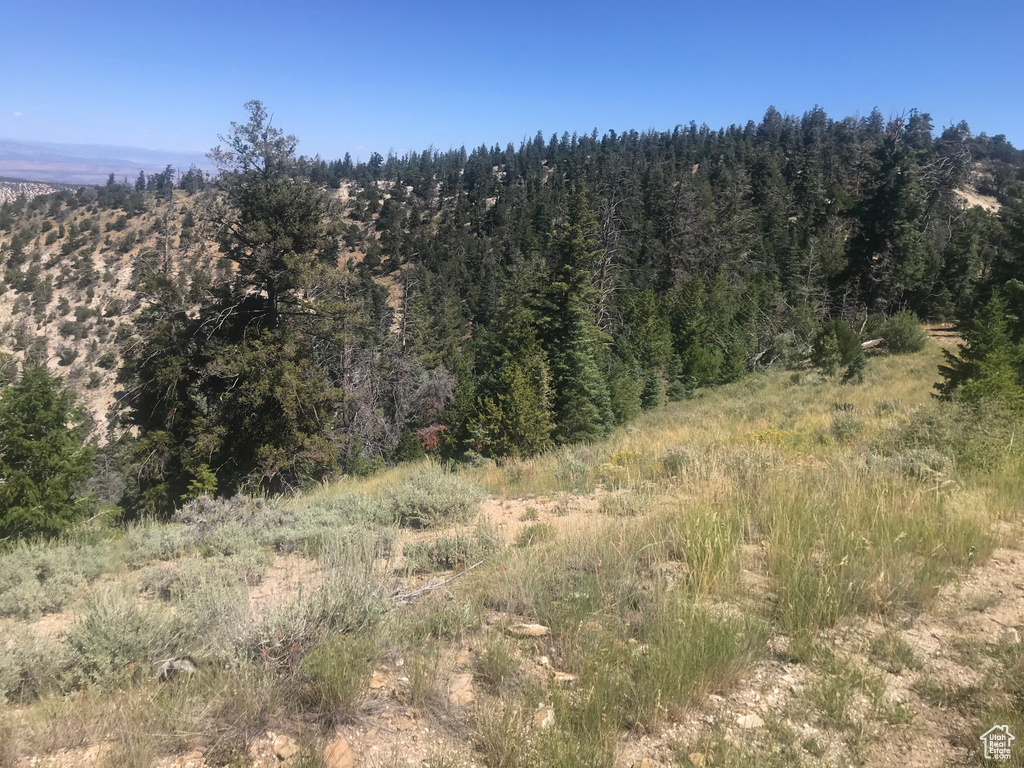  Duchesne, UT 84021
