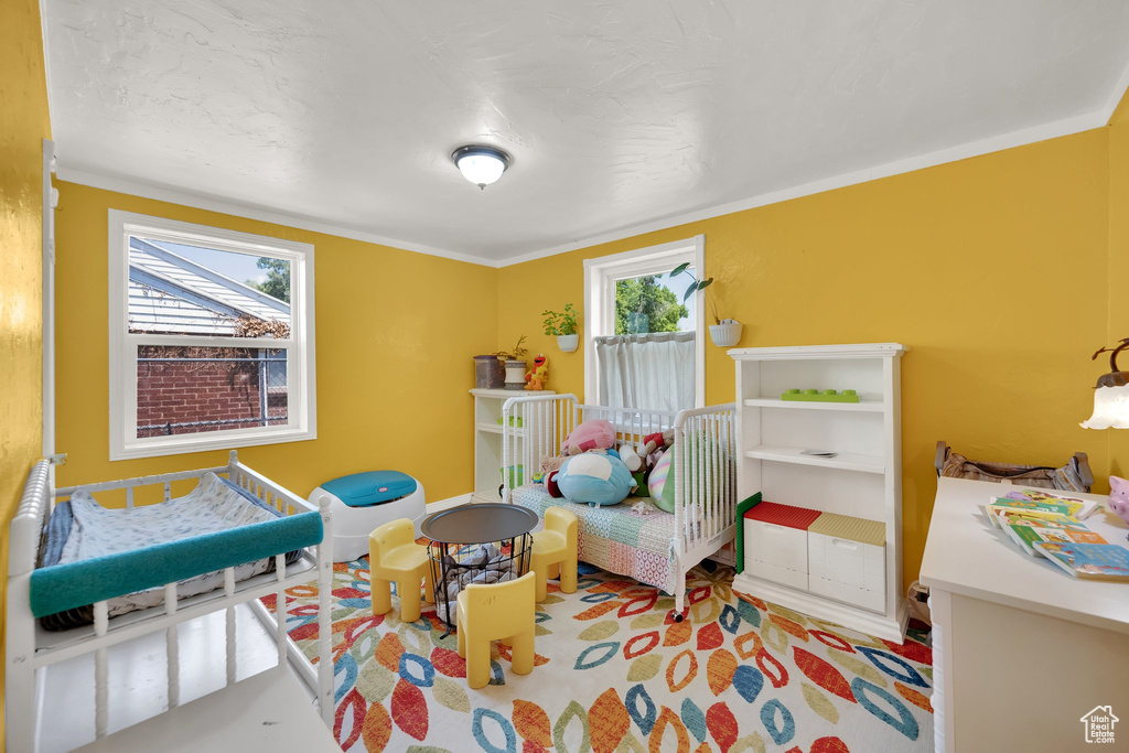 Bedroom with ornamental molding