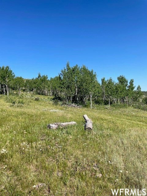  Saint Charles, ID 83272
