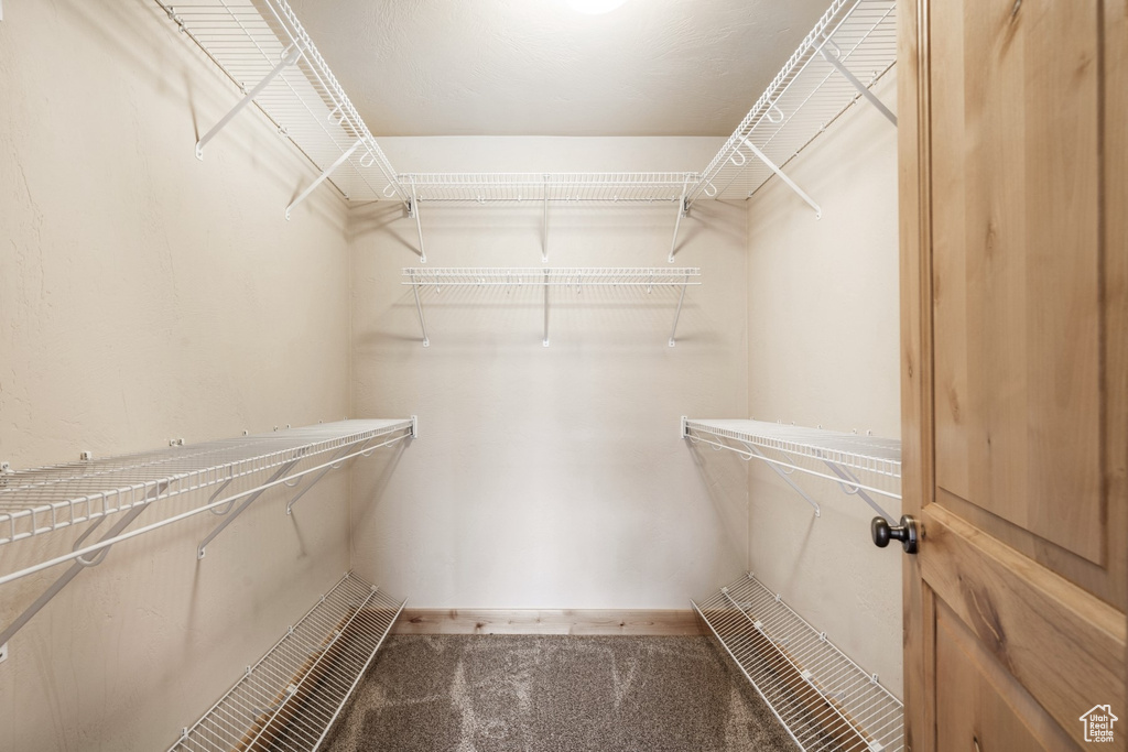 Spacious closet with carpet floors