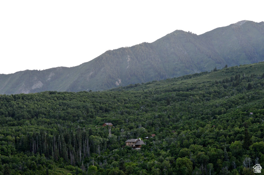 6 N HAPPY HOLLOW DR Springville, UT 84663