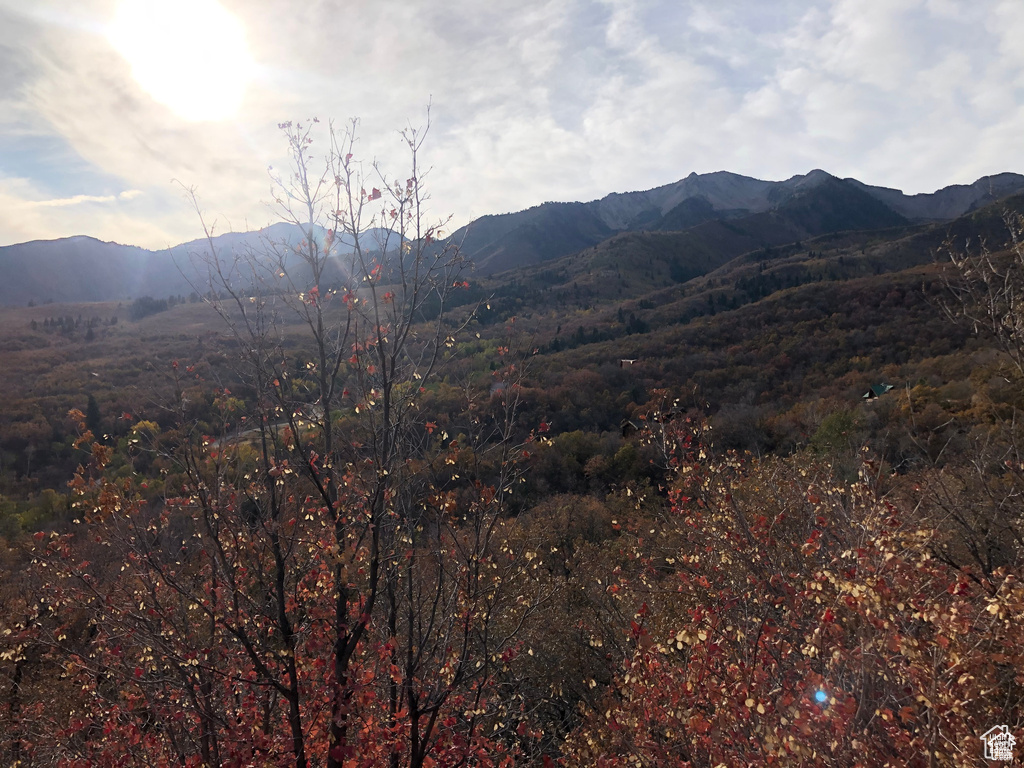 6 N HAPPY HOLLOW DR Springville, UT 84663