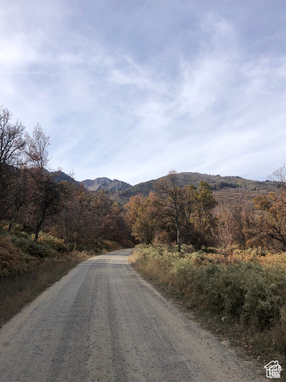 6 N HAPPY HOLLOW DR Springville, UT 84663