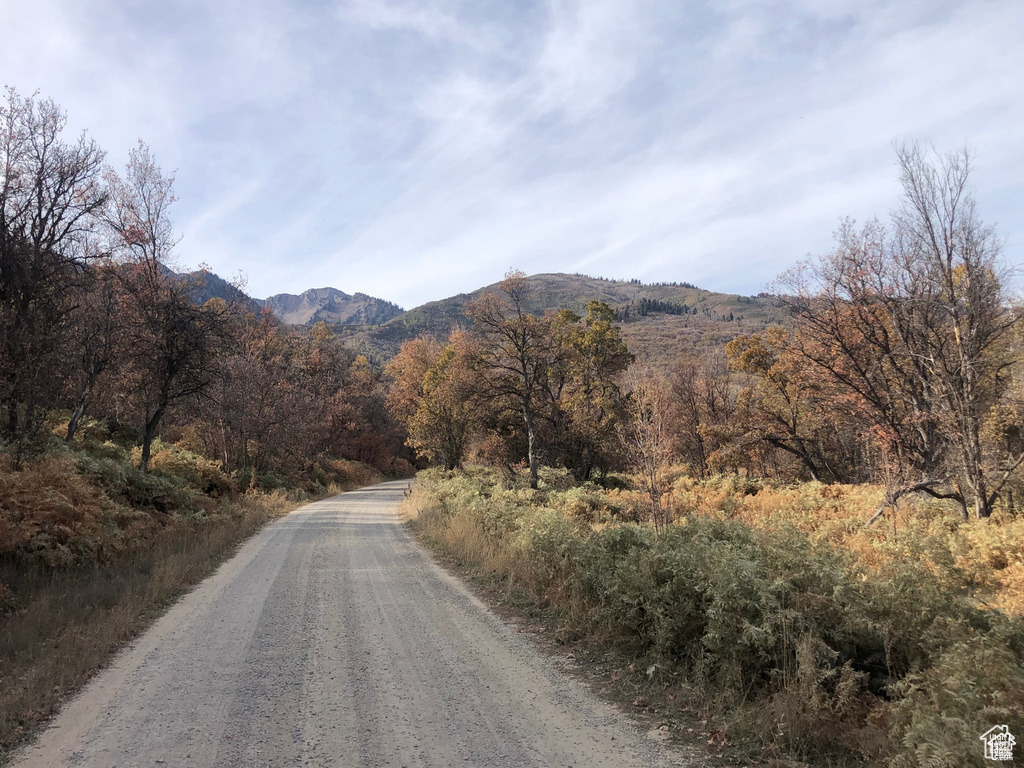 6 N HAPPY HOLLOW DR Springville, UT 84663
