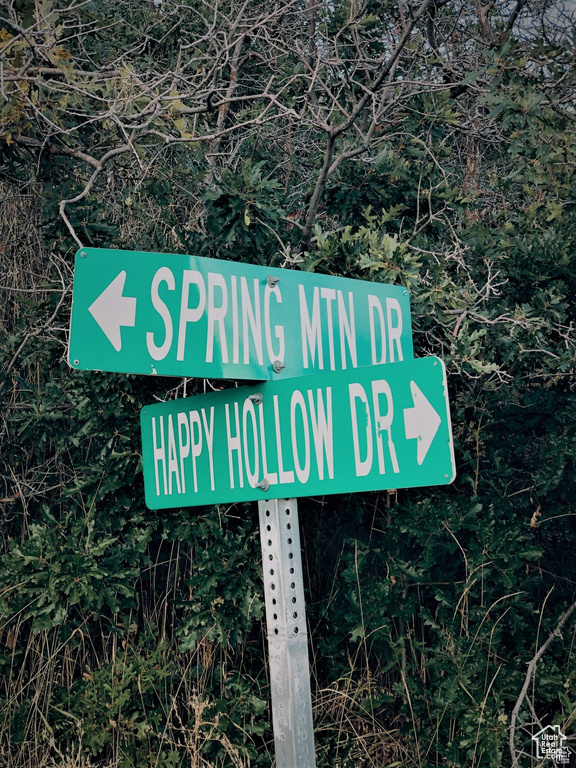 6 N HAPPY HOLLOW DR Springville, UT 84663