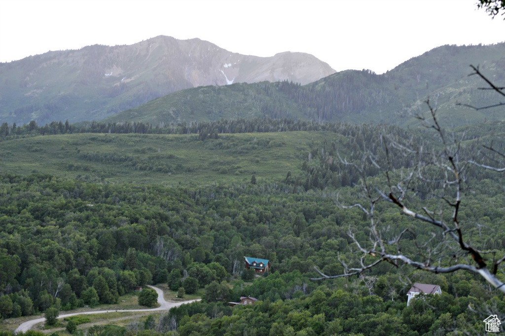 6 N HAPPY HOLLOW DR Springville, UT 84663