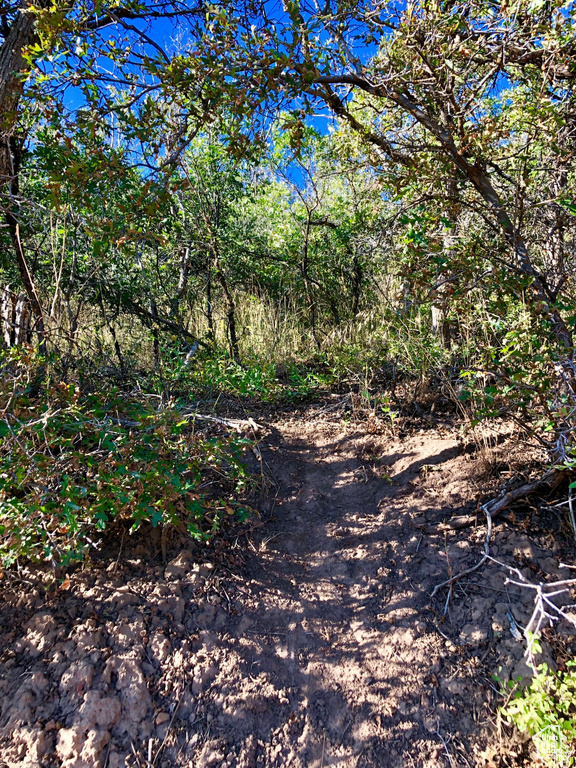 6 N HAPPY HOLLOW DR Springville, UT 84663