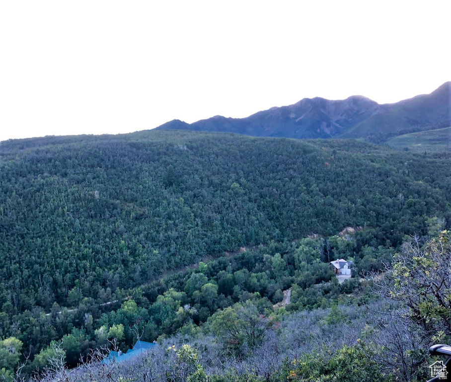 4  SPRING MOUNTAIN DR Springville, UT 84663