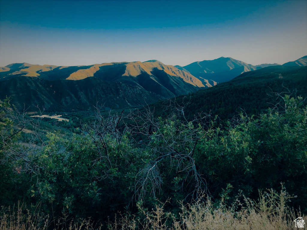 4  SPRING MOUNTAIN DR Springville, UT 84663