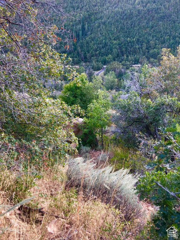 4  SPRING MOUNTAIN DR Springville, UT 84663