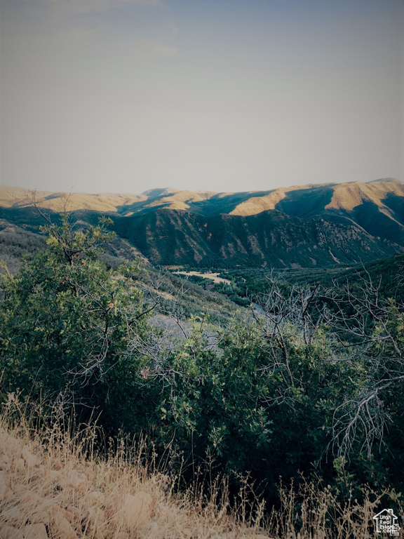 4  SPRING MOUNTAIN DR Springville, UT 84663