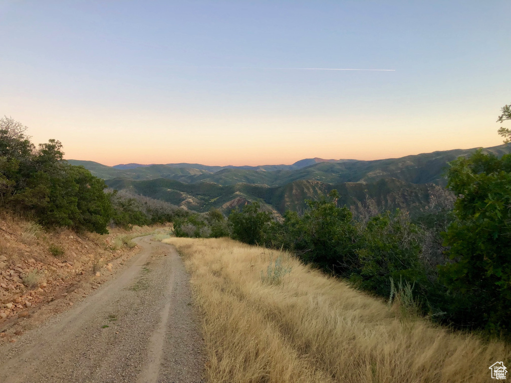 4  SPRING MOUNTAIN DR Springville, UT 84663