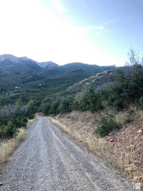 4  SPRING MOUNTAIN DR Springville, UT 84663