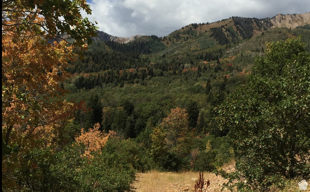 4  SPRING MOUNTAIN DR Springville, UT 84663