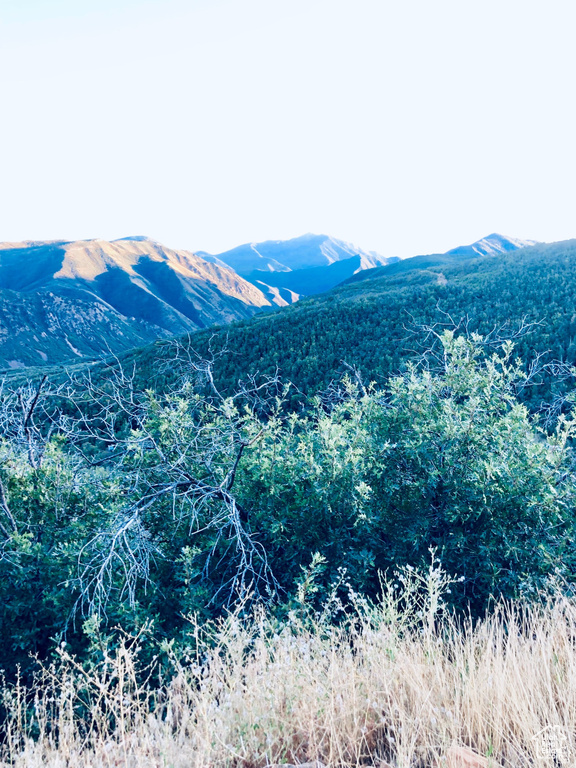 4  SPRING MOUNTAIN DR Springville, UT 84663