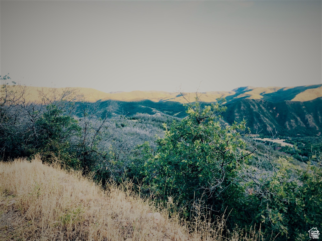 4  SPRING MOUNTAIN DR Springville, UT 84663