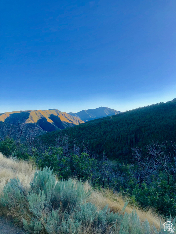 4  SPRING MOUNTAIN DR Springville, UT 84663