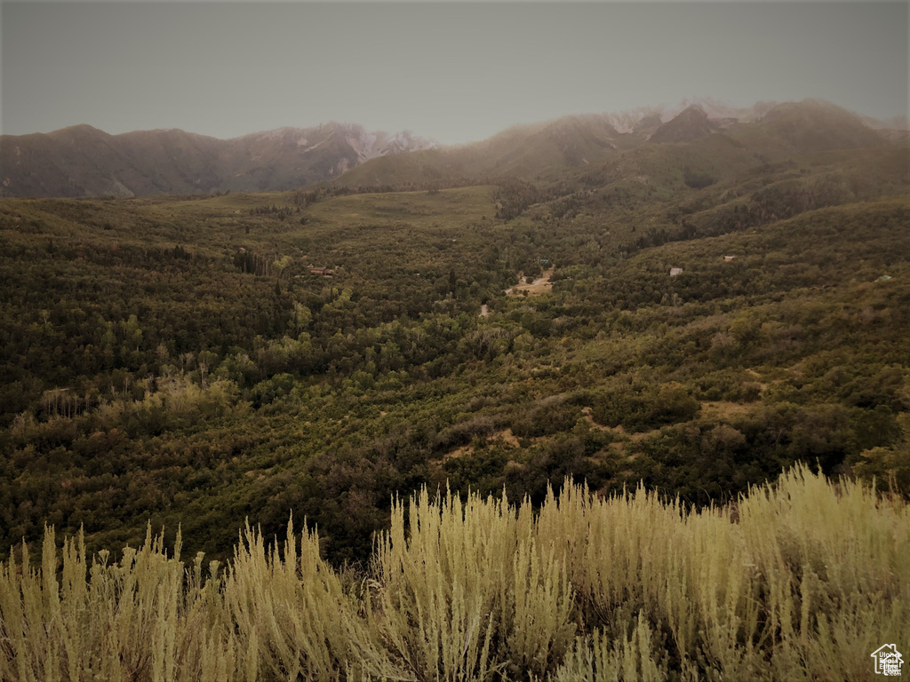 4  SPRING MOUNTAIN DR Springville, UT 84663