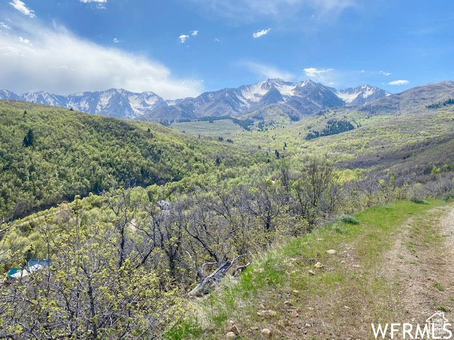 5 E HAPPY HOLLOW DR Springville, UT 84663