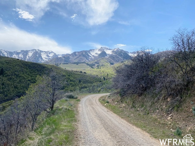 5 E HAPPY HOLLOW DR Springville, UT 84663