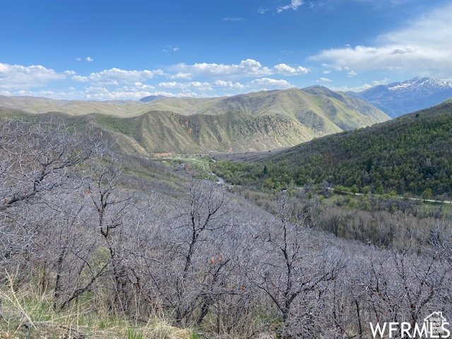 5 E HAPPY HOLLOW DR Springville, UT 84663