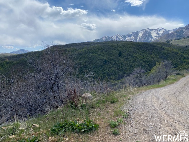 5 E HAPPY HOLLOW DR Springville, UT 84663