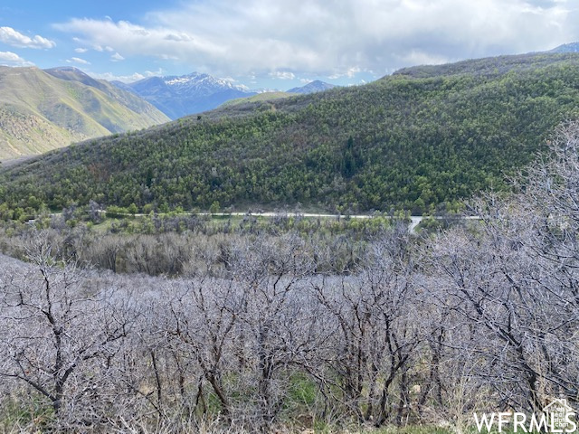 5 E HAPPY HOLLOW DR Springville, UT 84663