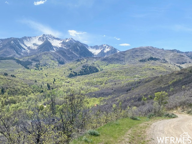 5 E HAPPY HOLLOW DR Springville, UT 84663