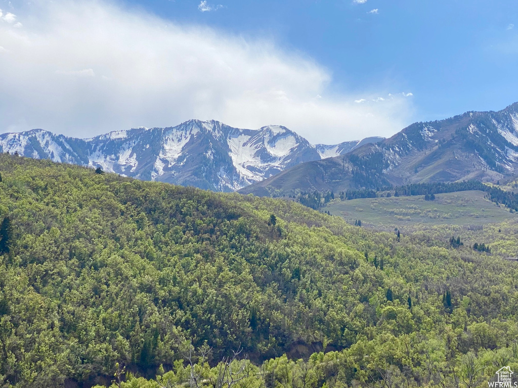 5 E HAPPY HOLLOW DR Springville, UT 84663