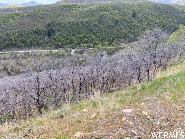 5 E HAPPY HOLLOW DR Springville, UT 84663