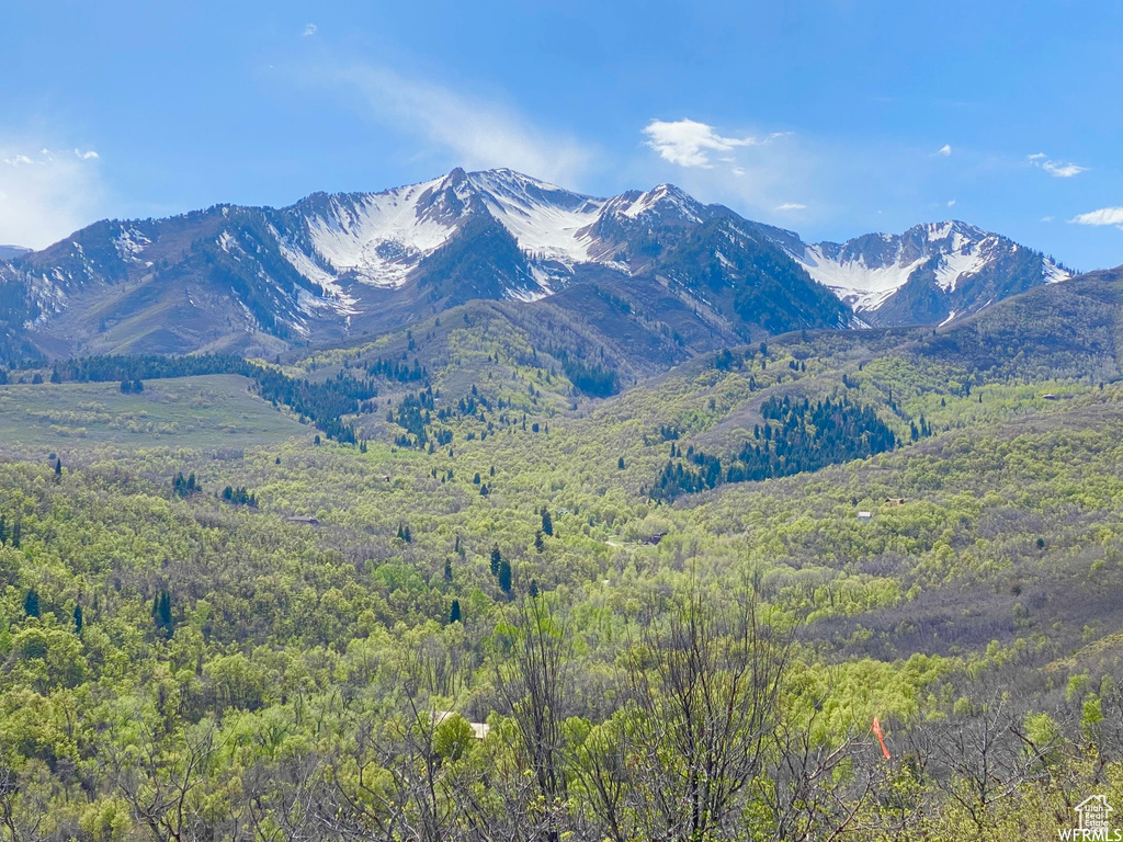 5 E HAPPY HOLLOW DR Springville, UT 84663
