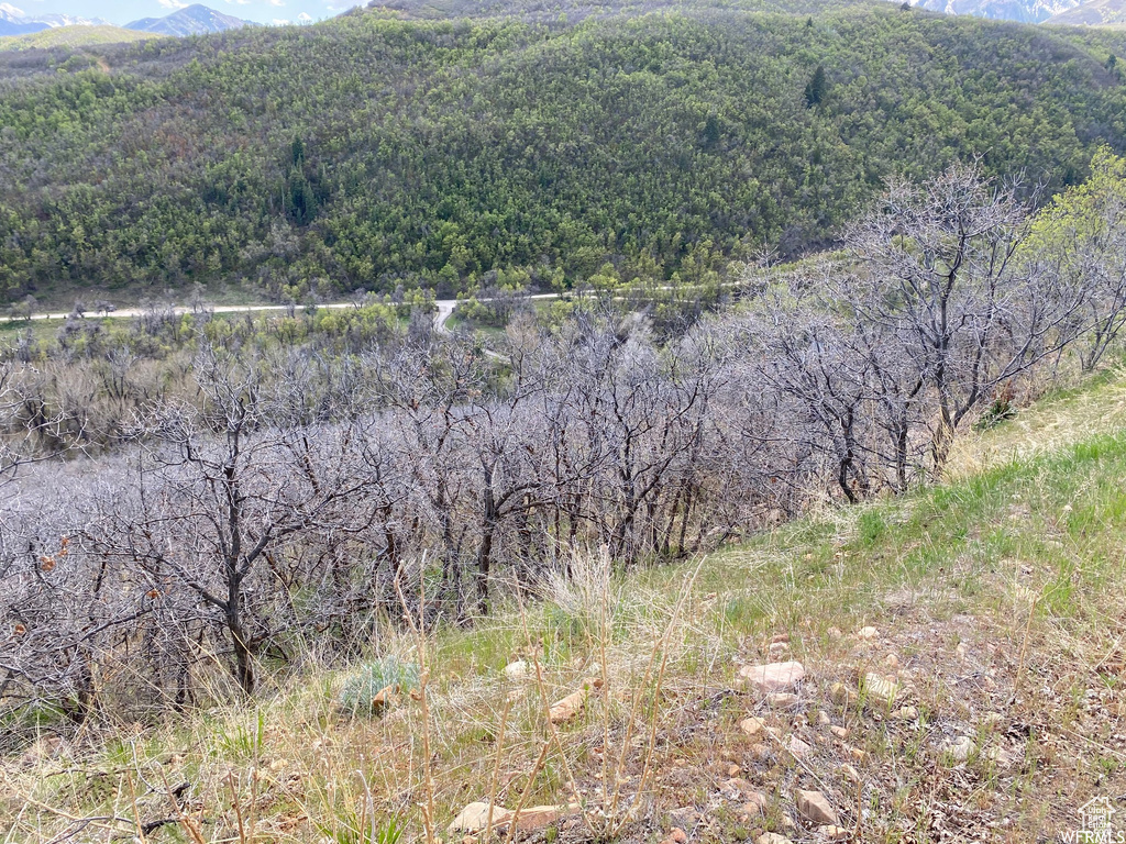 5 E HAPPY HOLLOW DR Springville, UT 84663