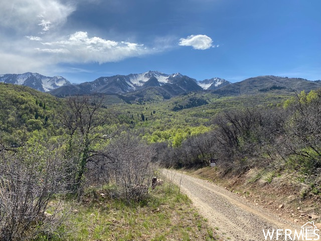 5 E HAPPY HOLLOW DR Springville, UT 84663