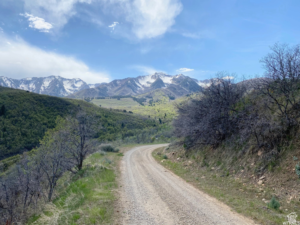 5 E HAPPY HOLLOW DR Springville, UT 84663