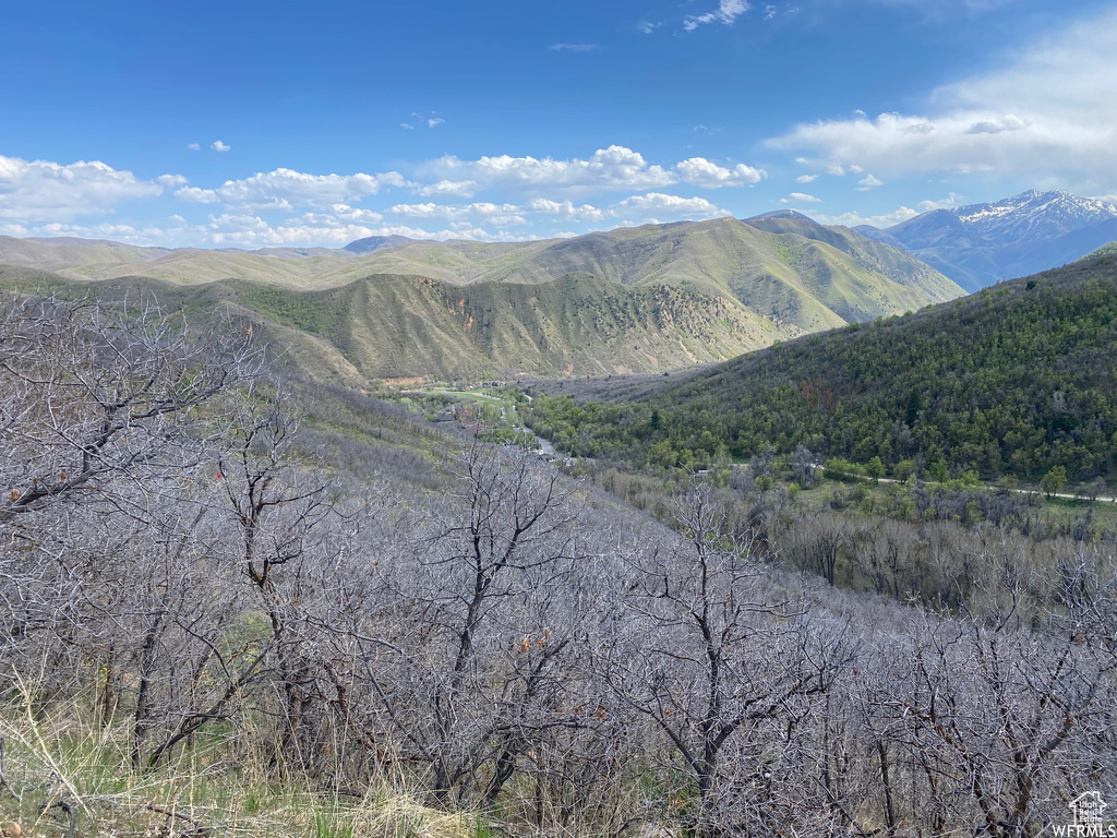 5 E HAPPY HOLLOW DR Springville, UT 84663