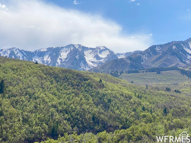 5 E HAPPY HOLLOW DR Springville, UT 84663