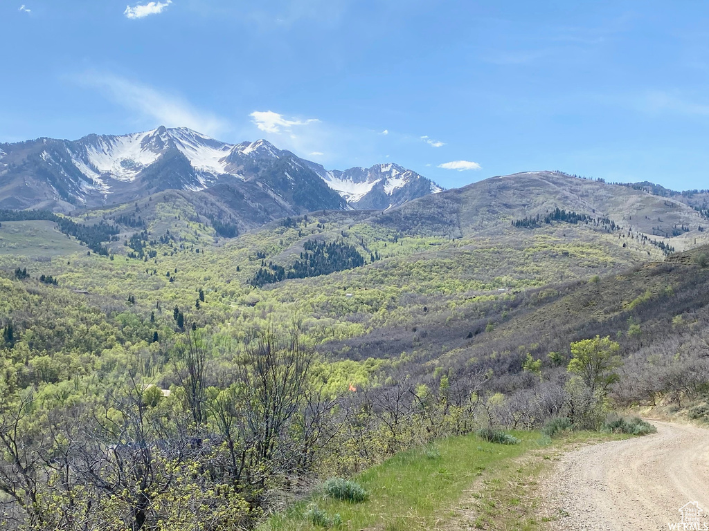 5 E HAPPY HOLLOW DR Springville, UT 84663