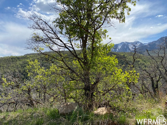 5 E HAPPY HOLLOW DR Springville, UT 84663
