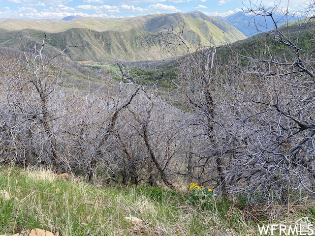 5 E HAPPY HOLLOW DR Springville, UT 84663
