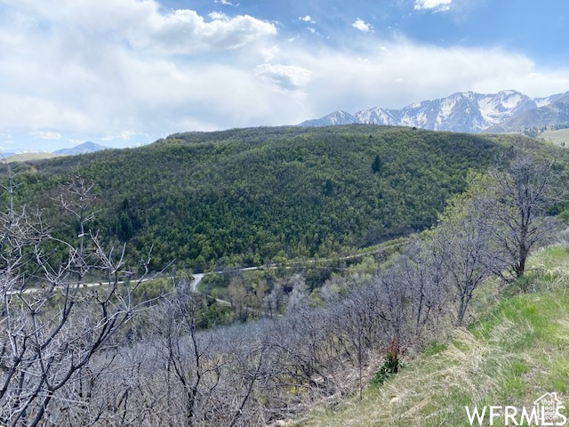 5 E HAPPY HOLLOW DR Springville, UT 84663