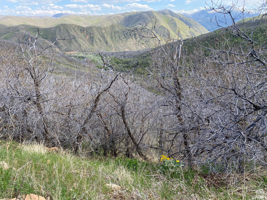 5 E HAPPY HOLLOW DR Springville, UT 84663