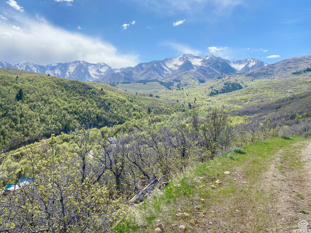 5 E HAPPY HOLLOW DR Springville, UT 84663