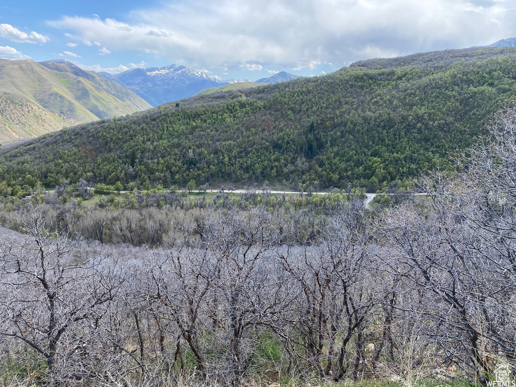 5 E HAPPY HOLLOW DR Springville, UT 84663
